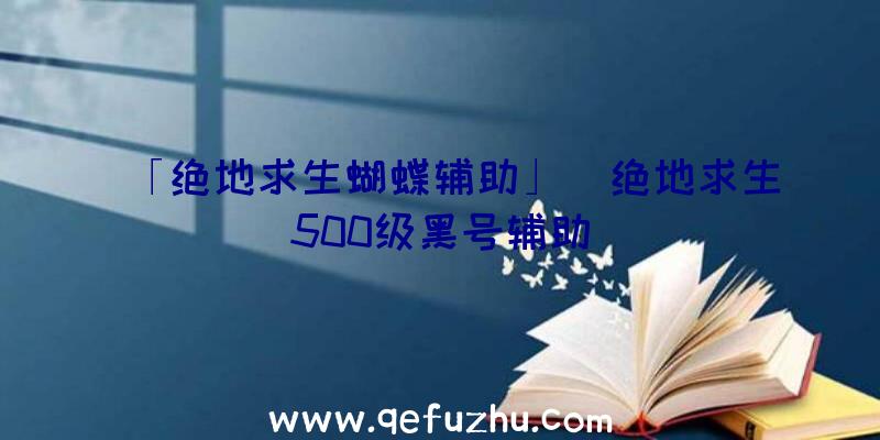 「绝地求生蝴蝶辅助」|绝地求生500级黑号辅助